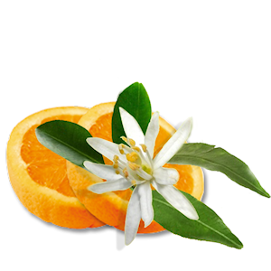 fleurs d'oranger